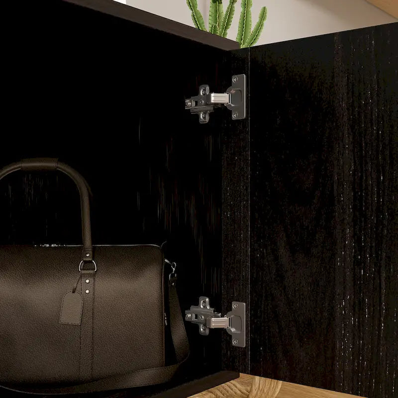 Black TV Stand with Gold Legs - 2 Door Storage for Living Room