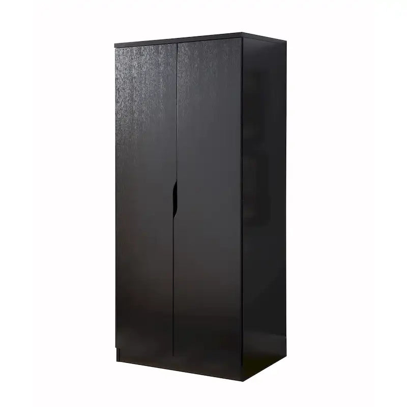 Modern 2-Door Wardrobe Armoire with Hanging Rod and Shelves
