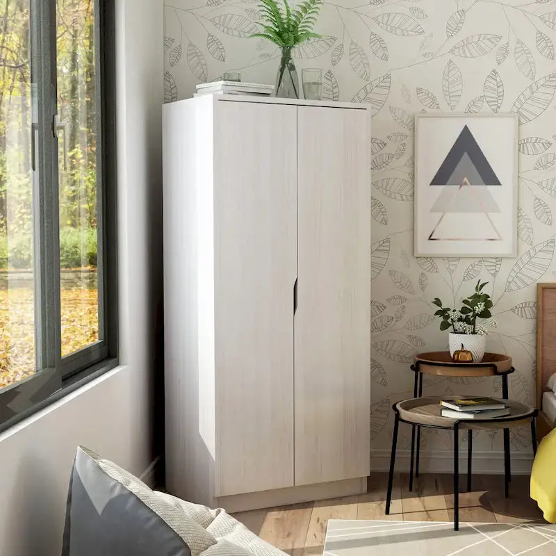 Modern 2-Door Wardrobe Armoire with Hanging Rod and Shelves