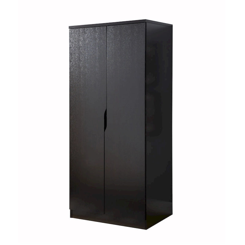 Modern 2-Door Wardrobe Armoire with Hanging Rod and Shelves