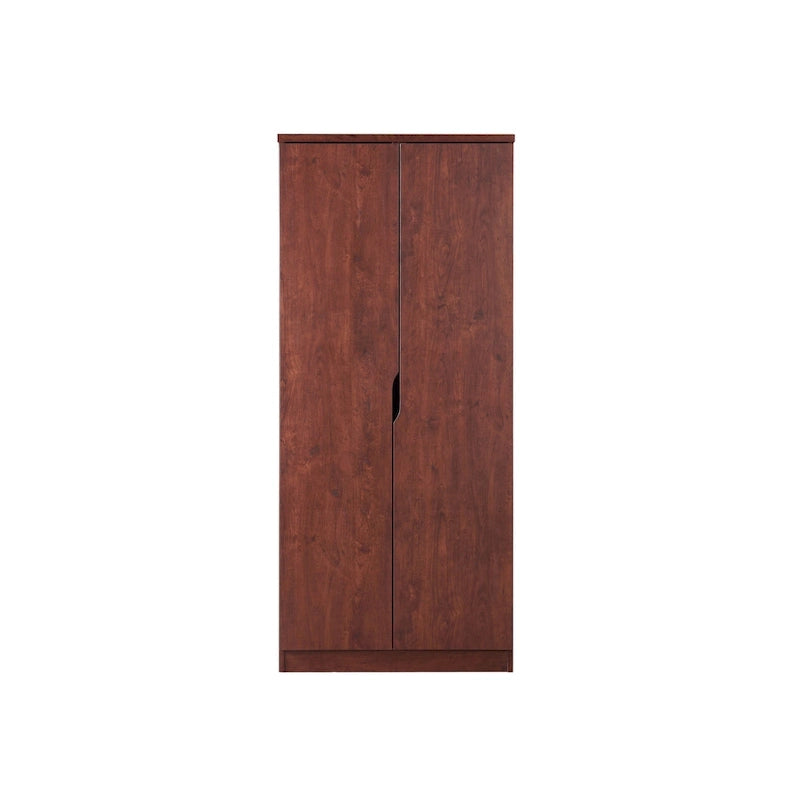 Modern 2-Door Wardrobe Armoire with Hanging Rod and Shelves