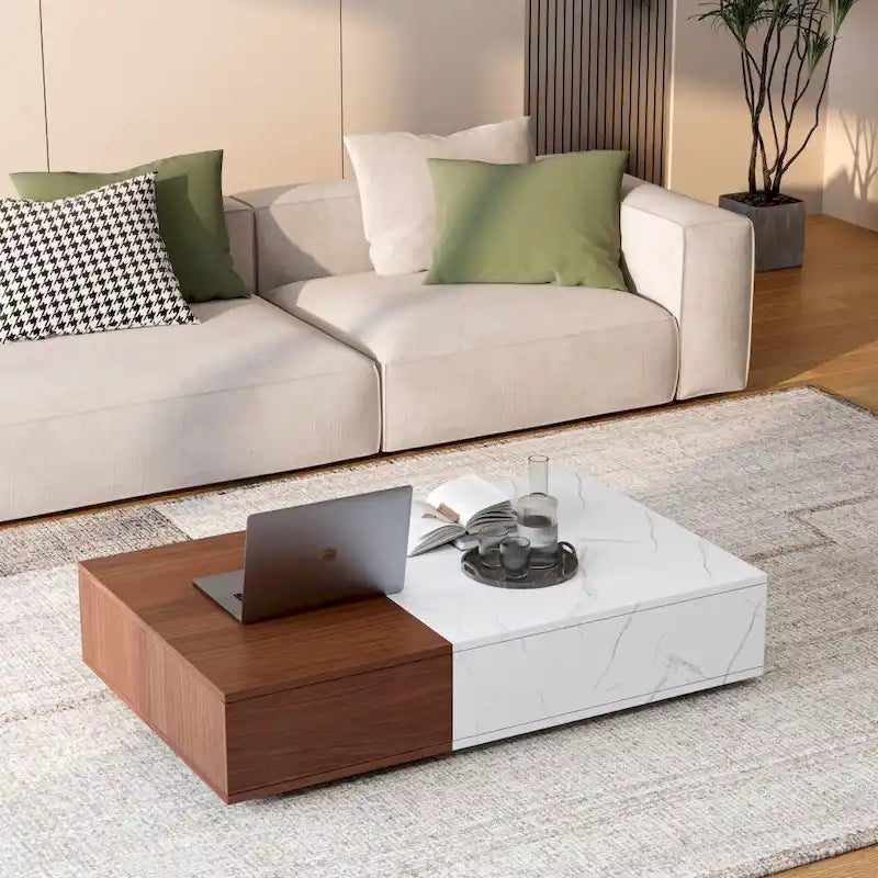 Modern Coffee Table with Two Storage Spaces